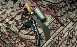 Read more about the article ଘରେ ପଶି କଟୁରି ଓ ମାଉଜରରେ ଆକ୍ରମଣ କରି ଲୁଟ, ମାଲିକ ଗୁରୁତର