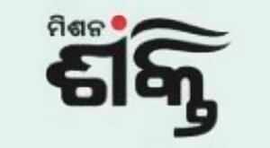 Read more about the article ବଢ଼ିବ ମହିଳାଙ୍କ ଶକ୍ତି, ସବୁ ପଞ୍ଚାୟତରେ ଖୋଲିବ ମିଶନ ଶକ୍ତି ମାର୍କେଟ୍‌‌ ବିଲ୍ଡିଂ