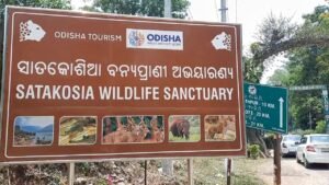 Read more about the article ସାତକୋଶିଆରେ ଲୋପ ପାଉଛନ୍ତି ହାତୀ, ଉପଯୁକ୍ତ ଖାଦ୍ୟ-ପାନୀୟ ମିଳୁନଥିବା ଅଭିଯୋଗ