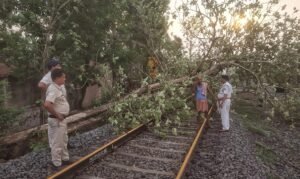 Read more about the article କାଳବୈଶାଖୀରେ ରେଳ ଧାରଣାରେ ଗଛ ପଡ଼ିବା ପରେ ମାଲିକଙ୍କ ଧାରଣା, ସମ୍ବଲପୁର-ତାଳଚେର ଟ୍ରେନ୍ ଚଳାଚଳ ବାଧାପ୍ରାପ୍ତ