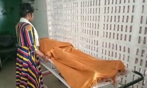 Read more about the article ଶୋଇଥିବା ବେଳେ କାମୁଡ଼ିଲା ସାପ, ନାବାଳିକା ମୃତ