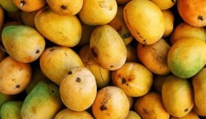 Read more about the article ୧୫ ରୁ ଓରମାସ ପକ୍ଷରୁ ବିକ୍ରି କରାଯିବ ଆମ୍ବ, ଜୁନ ୧୯ ଯାଏଁ ଚାଲିବ ବଜାର