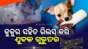 କୁକୁର ସହିତ ରିଲସ୍ କରି ଯୁବକ ଗୁରୁତର