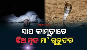 Read more about the article ସାପ କାମୁଡ଼ାରେ ଝିଅ ମୃତ ମା ଗୁରୁତର
