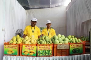 Read more about the article ଓରମାସ ତରଫରୁ ଆମ ଗାଁ ଆମ୍ବ ପସରାର ପ୍ରଦର୍ଶନୀ ଆରମ୍ଭ