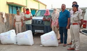 Read more about the article ଅବକାରୀ ଚଢ଼ଉ:  ୧୦ ଲକ୍ଷରୁ ଅଧିକ ମୂଲ୍ୟର ଗଞ୍ଜେଇ ଜବତ, ୩ ଗିରଫ