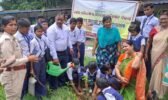 ୭୪ ତମ ବନମହୋତ୍ସବ: ଅନ୍ନପୂର୍ଣ୍ଣା ପରିବାର ପକ୍ଷରୁ ବୃକ୍ଷରୋପଣ ଆୟୋଜିତ