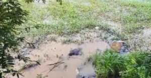 Read more about the article କେନାଲରୁ ଯୁବକଙ୍କ ମୃତ ଦେହ ଉଦ୍ଧାର, କାରଣ ଅସ୍ପଷ୍ଟ