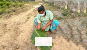 Read more about the article ନବଜାତକକୁ ଝୁଣି ଖାଇଲା ବୁଲା କୁକୁର, କେହି ଫିଙ୍ଗି ଦେଇଥିବା ସନ୍ଦେହ