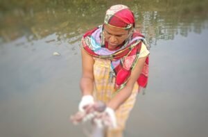 Read more about the article ପୁଣି ଅଲୋଡ଼ା ହେଲା ଶିଶୁ: ରାସ୍ତା କଡ଼ରୁ ନବଜାତକର ମୃତ ଦେହ ଉଦ୍ଧାର