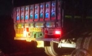 Read more about the article ସଡ଼କ ଦୁର୍ଘଟଣାରେ ଦୁଇ ଭାଇ ମୃତ