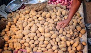 Read more about the article ଆଳୁ ଖୁଚୁରା ବଜାରରେ ନିଆଁ: କେଜି ପିଛା ଦର ୩୫ ଟଙ୍କା