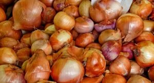 Read more about the article ଏପ୍ରିଲ ପହିଲାରୁ ଚାଷୀଙ୍କ ଠାରୁ ପିଆଜ ସଂଗ୍ରହ କରିବେ କେନ୍ଦ୍ର ସରକାର, ଗଚ୍ଛିତ ରଖିବେ ୫ ଲକ୍ଷ ଟନ୍