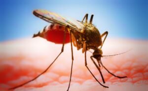 Read more about the article ଖୁସି ଖବର! ଡେଙ୍ଗୁ ପାଇଁ ବାହାରିଲା ଟିକା, ବିଶ୍ବ ସ୍ବାସ୍ଥ୍ୟ ସଂଗଠନରୁ ମିଳିଲା ମଞ୍ଜୁରୀ