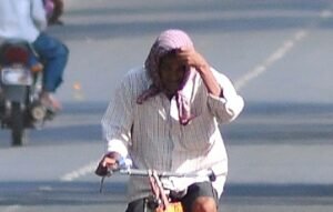 Read more about the article ସହର ଜଳୁଛି,ଅଲଟ୍ରା ଭାଓଲେଟ୍ ଘାତକ ସାଜିପାରେ