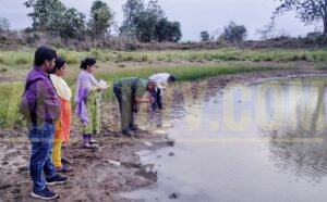 Read more about the article ଜାପାନୀ ଜର: ଅନୁସନ୍ଧାନ କରିବାକୁ ରାଜ୍ୟ ଟିମ୍‌ ପହଞ୍ଚିଲେ