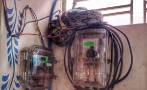 Read more about the article ତୁରଙ୍ଗ ଦୁର୍ଗା ବିହାରରୁ ଅଜଗର ଉଦ୍ଧାର