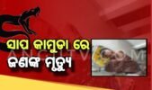 ଚିତି ସାପ କାମୁଡ଼ାରେ ଯୁବକଙ୍କ ମୃତ୍ୟୁ