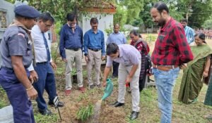 Read more about the article ରୋଟାରୀ ପବ୍ଲିକ ସ୍କୁଲରେ ଵନ ମହୋତ୍ସବ