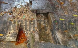 Read more about the article ହୋଟେଲ ଅଇଁଠା ପଡ଼ିଆରେ ଫିଙ୍ଗିଲେ