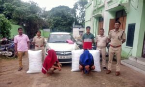 Read more about the article ଅନୁଗୁଳ ଅବକାରୀ ବିଭାଗକୁ ବଡ଼ ସଫଳତା: ୧୦୦ କେଜିରୁ ଅଧିକ ଗଞ୍ଜେଇ ଜବତ କରିବା ସହ ୨ ଜଣଙ୍କୁ କଲା ଗିରଫ