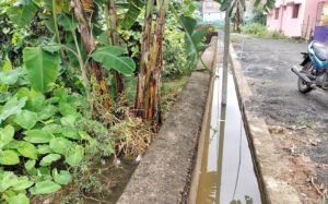 Read more about the article ସରକାରୀ ନାଳରେ ପଥର ପକାଇ ଜାମ୍ କରି ରଖିଛନ୍ତି ଗୋଟେ ପରିବାର, ପାଣି ନିଷ୍କାସିତ ନ ହେବାରୁ କଲବଲ ହେଉଛନ୍ତି ପୂରା ସାହି ବାସିନ୍ଦା