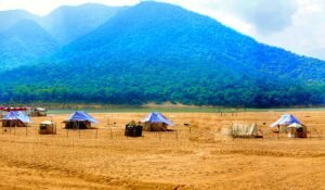 Read more about the article ଦେଶରେ ପ୍ରଥମ! ସାତକୋଶିଆ ଅଭୟାରଣ୍ୟ ଜଗିବେ ସ୍ପେଶାଲ ଫୋର୍ସ