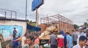 Read more about the article ଗୋରୁ ଚାଲାଣ ବେଳେ ଉଦ୍ଧାର କଲେ ଗ୍ରାମବାସୀ ଓ ପୋଲିସ