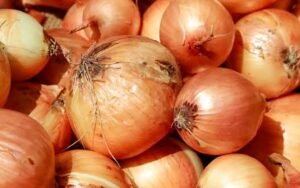 Read more about the article ପିଆଜର ଦରବୃଦ୍ଧିକୁ ନେଇ ଖାଦ୍ୟ ଓ ଯୋଗାଣ ମନ୍ତ୍ରୀଙ୍କ ପ୍ରତିକ୍ରିୟା: ଅଳ୍ପଦିନ ଭିତରେ କମିବ ଦର