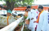 ଶ୍ରୀ ଗୋପାଳ ଗୋଶାଳାରେ ଗୋପାଷ୍ଟମୀ ପାଳିତ, ଗୋହତ୍ୟା ସମ୍ପୂର୍ଣ୍ଣ ବନ୍ଦ କରିବାକୁ ଆହ୍ୱାନ