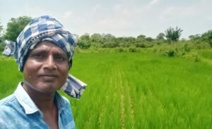 Read more about the article ମାତ୍ର ୬୫୦୦ ଟଙ୍କାରେ ଏକ ଏକର ଜମିରେ ହେଉଛି ଧାନ ଚାଷ, ଯାନ୍ତ୍ରିକ ଧାଡ଼ି ବୁଣା ପଦ୍ଧତି ଦେଉଛି ପ୍ରଚୁର ଲାଭ