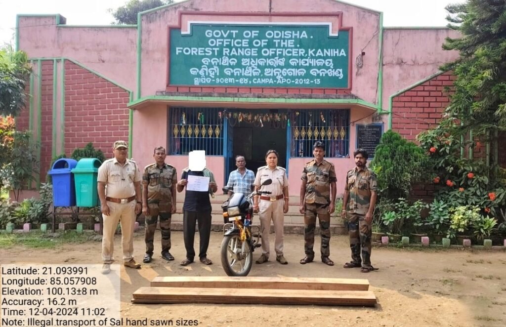 କଣିହାଁରୁ ଚୋରା ଶାଳ କାଠ ଜବତ