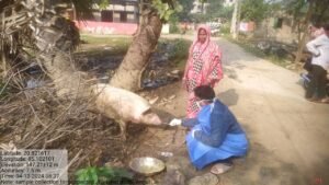 Read more about the article ଅନୁଗୁଳକୁ ଆସିଲା ଜାପାନୀ ଜ୍ଵର: ଜଣେ ଶିଶୁ ଆକ୍ରାନ୍ତ,ଅନୁସନ୍ଧାନ ଆରମ୍ଭ