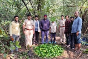 Read more about the article ପୁରୁଣାଗଡରୁ ବାରହା ଓ କୁଟୁରା ମାଂସ ଜବତ: ଜଣେ ଗିରଫ