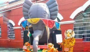 Read more about the article ବନ ବିଭାଗର କାର୍ଯ୍ୟ ଦକ୍ଷତା ବଢ଼ାଇବାକୁ ନିଆରା ପ୍ରୟାସ, ବାଘ ବେଶରେ ଜିଲ୍ଲାପାଳଙ୍କ ଅଫିସରେ ଯୁବକଙ୍କ ଧାରଣା