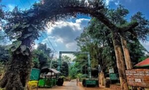 Read more about the article ସାତକୋଶିଆ ଅଭୟାରଣ୍ୟର ନିଷିଦ୍ଧ ଅଞ୍ଚଳରେ ୟୁଟ୍ଯୁବରଙ୍କ ବଣଭୋଜି, ଭିଡିଓ ଭାଇରାଲ ପରେ କାର୍ଯ୍ୟାନୁଷ୍ଠାନ ଦାବି