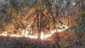 Read more about the article ଅନୁଗୁଳରେ ଥମୁନି ନିଆଁ, ୧୦ ଦିନ ହେଲାଣି ଜଳୁଛି ଜଙ୍ଗଲ