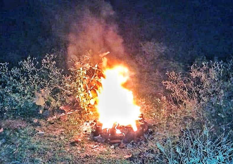 You are currently viewing ନିଶାର୍ଦ୍ଧରେ ଅଗ୍ନିରୂପା ମା’ ହିଙ୍ଗୁଳାଙ୍କ ଉଭାସ୍ଥଳୀ ଚିହ୍ନଟ, ସ୍ପର୍ଶ କରିବାକୁ ବାରଣ