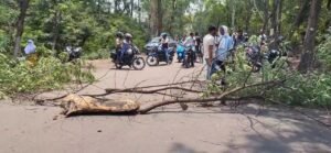 Read more about the article ଓଆଇଏସଏଫ୍ ପୁଲିସ ଗାଡ଼ି ଧକ୍କାରେ ଯୁବକଙ୍କ ମୃତ୍ୟୁ, ସ୍ଥାନୀୟ ଲୋକଙ୍କ ରାସ୍ତାରୋକ