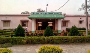 Read more about the article ସରକାରୀ ଯୋଜନା ଜାଣିଲେ ଚାଷୀ: କୃଷି କର୍ମଚାରୀଙ୍କ ଦକ୍ଷତା ବୃଦ୍ଧି ତାଲିମ ଶିବିର ଆୟୋଜିତ