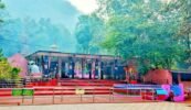 ନୂଆ ରୂପ ପାଇବ ମା’ ବାୟାଣୀ ପୀଠ, କେନ୍ଦ୍ରମନ୍ତ୍ରୀ ଧର୍ମେନ୍ଦ୍ର ପ୍ରଧାନଙ୍କ ଉଦ୍ୟମରେ ହୋଇଛି ରୂପାନ୍ତରିକରଣ