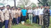 ଗଛ ଲଗେଇ ଅବସରକାଳୀନ ସମ୍ବର୍ଦ୍ଧନା