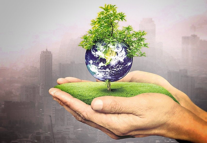 You are currently viewing ବିଶ୍ଵ ଜୈବ ବିବିଧତା ଦିବସ: ଧ୍ଵଂସ ମୁଖରେ ଜିଲ୍ଲାର ଜୈବ ବିବିଧତା: ଖଣି ନିଆଁରେ ହଜିଯିବ ସବୁଜିମା