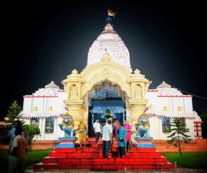 Read more about the article ଜିଏମଡିସି ପକ୍ଷରୁ ଶୈଳଶ୍ରୀ କ୍ଷେତ୍ରର ଆଲୋକିକରଣ