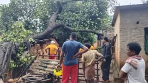 Read more about the article ଲଗାଣ ବର୍ଷା ହେଲା କାଳ: ଘର ଉପରେ ଭାଙ୍ଗିଲା ପଣସ ଗଛ, ଅଳ୍ପକେ ବର୍ତ୍ତିଲେ ପରିବାର ଲୋକେ