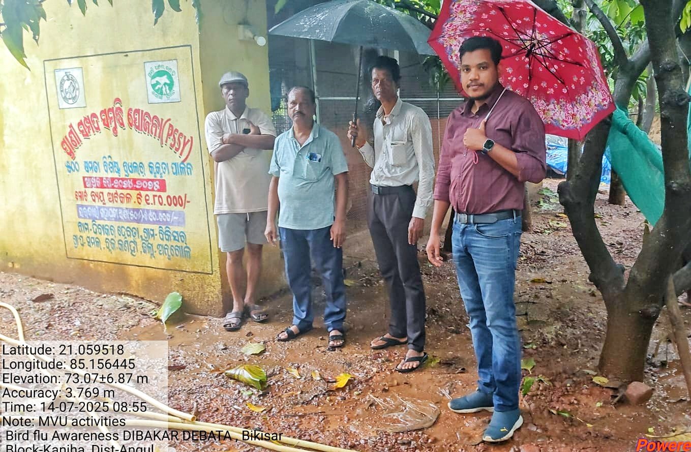 You are currently viewing ବାର୍ଡ ଫ୍ଲୁ ପ୍ରତିଷେଧ ପାଇଁ ପ୍ରାଣୀ ବିଭାଗ ସତର୍କ: ରକ୍ତ ନମୁନା ସଂଗ୍ରହ  ହେବ, ଚିକେନ ଦର ଖସିଲା
