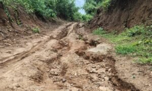 Read more about the article କାନ୍ଦୁଛି କୁରୁଡ଼ୁ, ଶୁଣୁନି ସରକାର: ୮ ମାସ ଗଲାନି ୮ ଲକ୍ଷ ଟଙ୍କାର ରାସ୍ତା, ଲୁଟି ଖାଇଗଲେ ସରକାରୀ ଅର୍ଥ