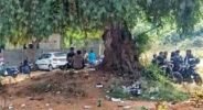 ‘ଠିପି ବନ୍ଦ’ ଦୋକାନ ସାମ୍ନାରେ ଖୋଲା ବାର୍‌: ଖୋଲାଖୋଲି ବିକ୍ରି ହେଉଛି ଚାଖଣା, ପିଆ ଚାଲିଛି ମଦ