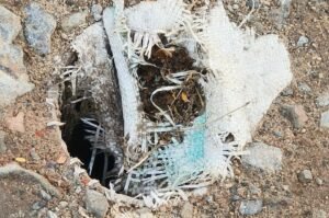 Read more about the article ରାସ୍ତା ପ୍ରଶାସ୍ତିକରଣ ପାଇଁ ଖୋଲାଗଲା ନଳକୂପ,ଗାତ ପୋତିବାକୁ ଭୁଲିଗଲା ବିଭାଗ 