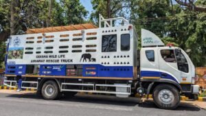 Read more about the article ଅନୁଗୁଳରେ ଐରାବତ: ହାତୀଙ୍କୁ ସ୍ଥାନାନ୍ତର କରିବାରେ ହେବ ବ୍ୟବହାର